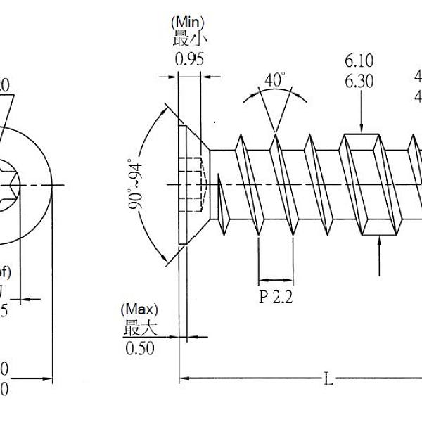 STRONG eurošroub 6,3x13/8 zápustná hlava 8mm T20 zinek bílý