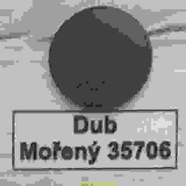 Krytka konfirmátu dub mořený 35706